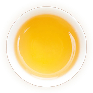 滴香寻源,寻绿茶,冰岛普洱茶汤色