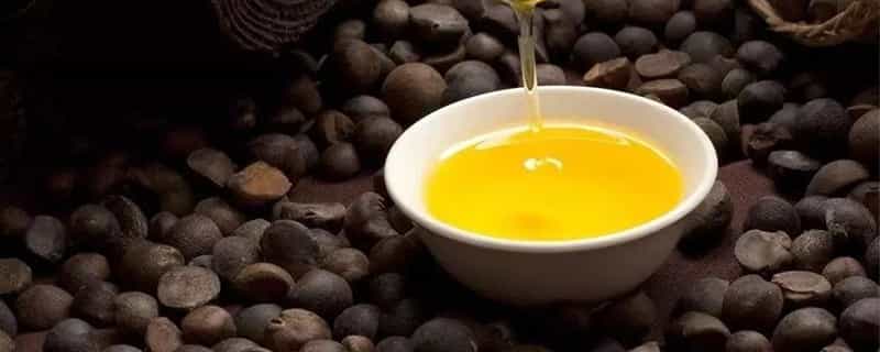 茶籽油有消炎的作用吗