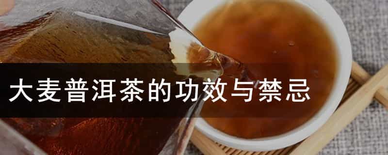 大麦普洱茶的功效与禁忌