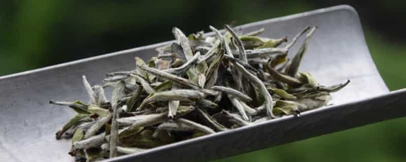 茶叶的质量标准主要是指茶叶的
