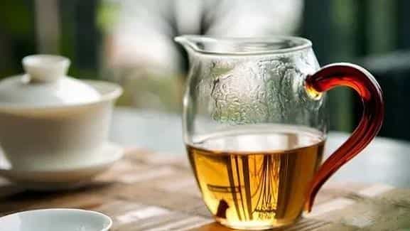 茶叶小白入门第一课:蹭茶