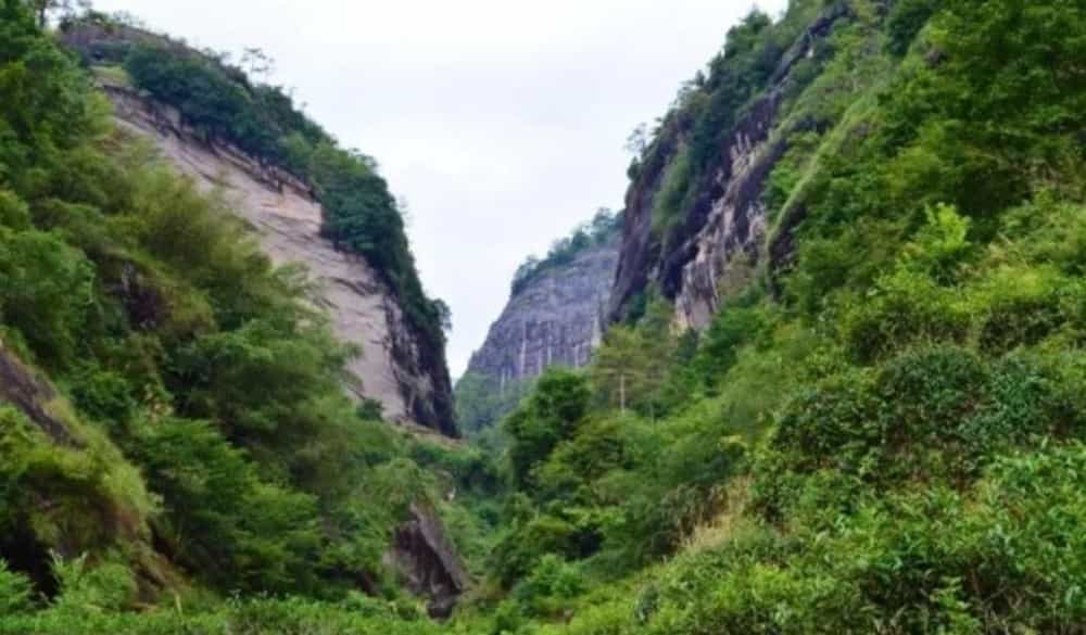 武夷山山场特点