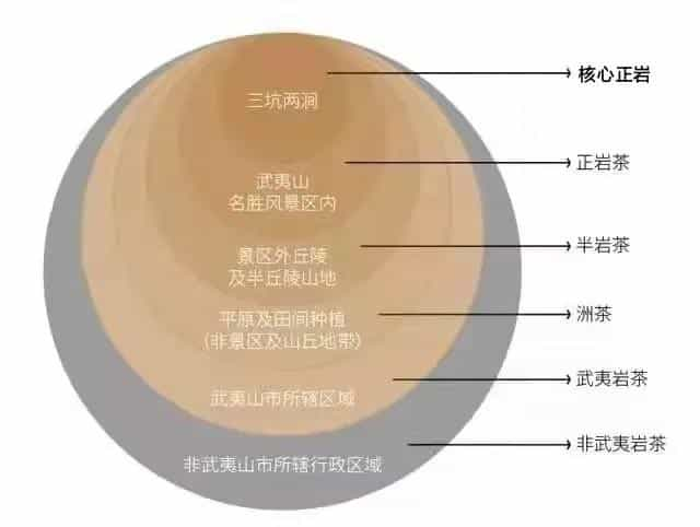 武夷山山场特点