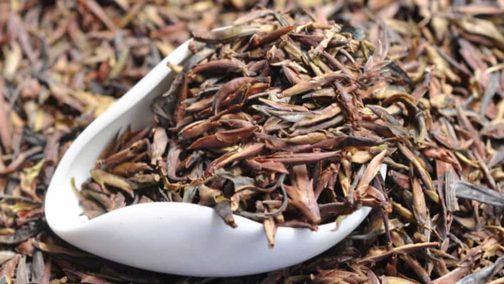 紫芽苞是属于什么茶
