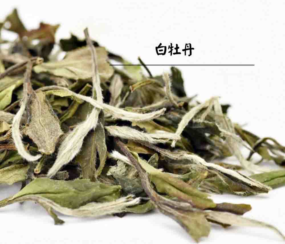 白茶是什么茶 有哪些种类与特点