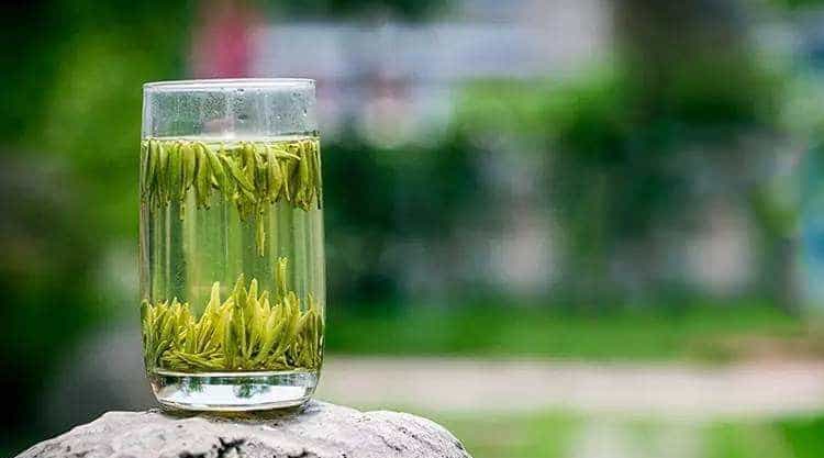 绿茶包括哪些常见茶叶