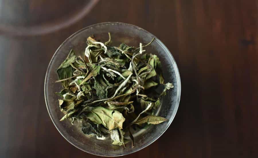 白牡丹是绿茶还是红茶