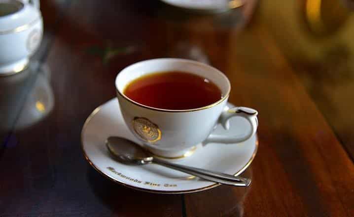 红茶适合什么季节喝