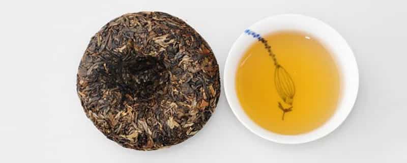 沱茶是生茶还是熟茶
