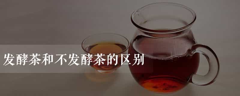 发酵茶和不发酵茶的区别