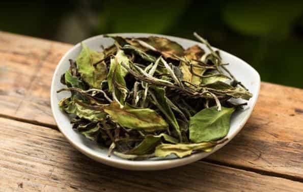 什么样的白茶可以作为口粮茶？