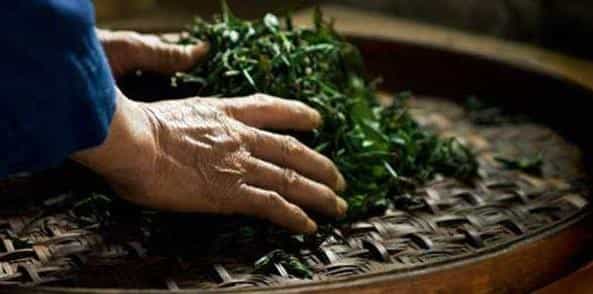 绿茶的制作工艺流程是怎样的