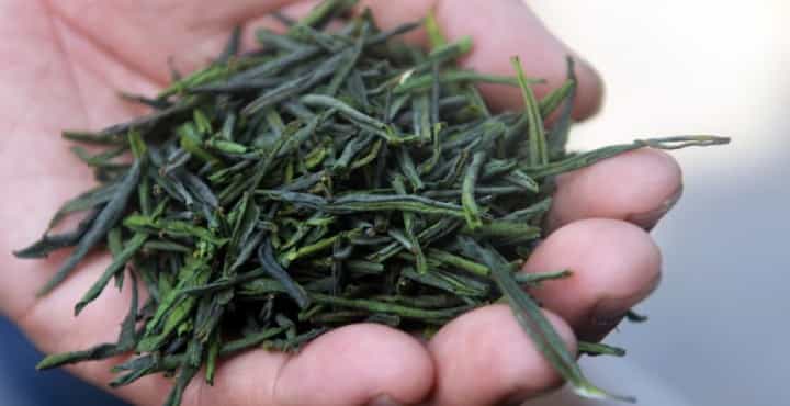 怎样辨别买到的绿茶好坏?绿茶好坏之鉴别！