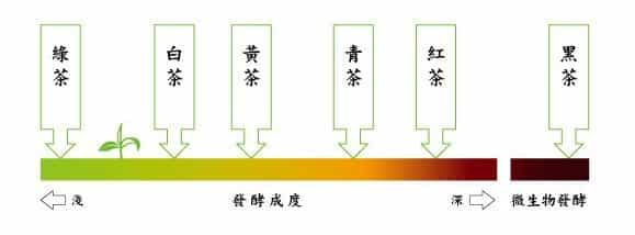 根据茶叶的发酵程度不同，茶叶可以分为哪几种？