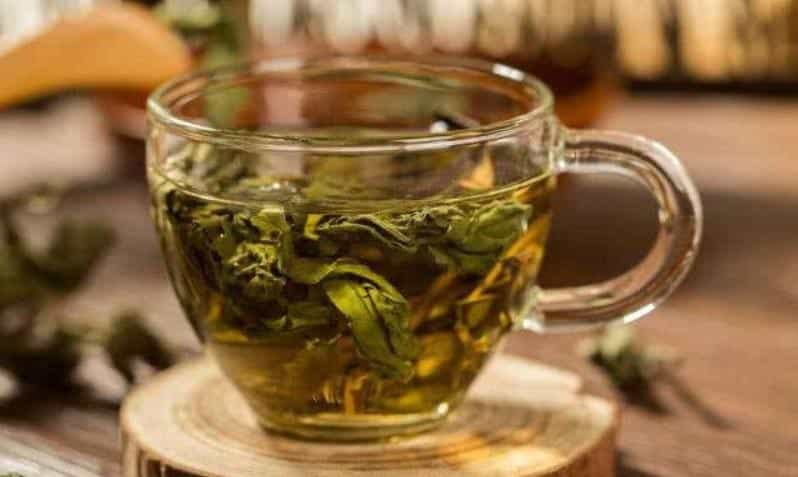 长期喝荷叶茶对身体有害吗
