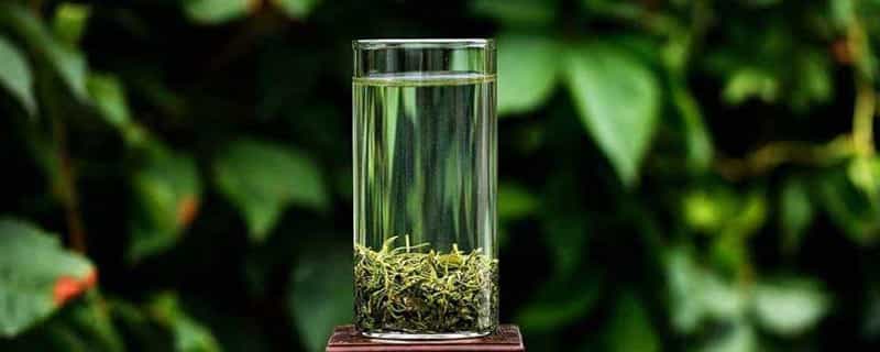 崂山绿茶怎么保存