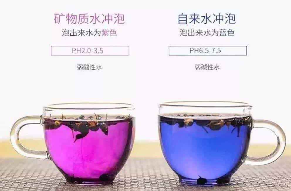 黑枸杞茶怎么喝