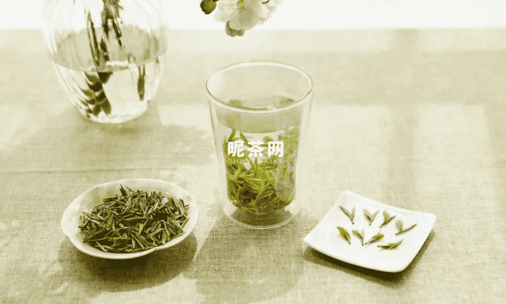 冲泡绿茶，需要茶水分离吗
