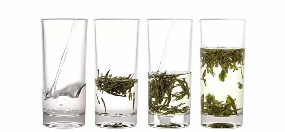 绿茶的正确泡法和茶具
