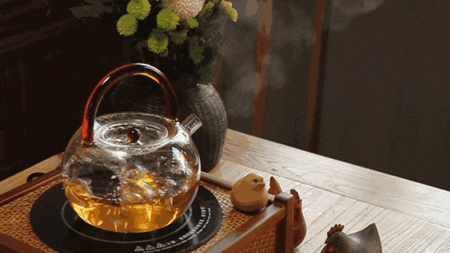 煮茶器适合煮什么茶