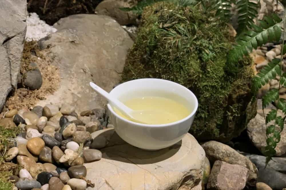 乌龙茶第几泡最好喝