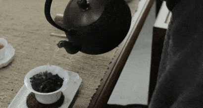 乌龙茶可以直接泡水喝吗