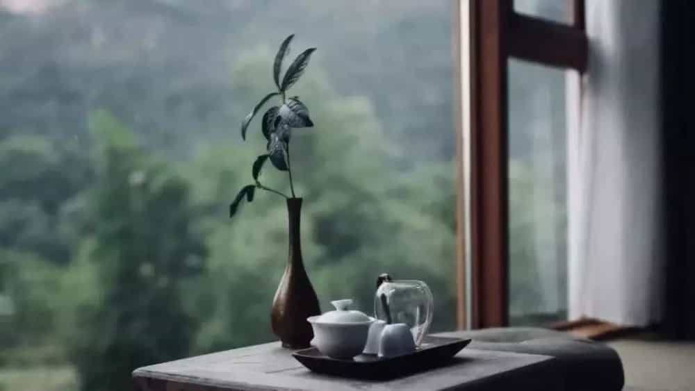 余生与茶书相伴，是我向往的生活