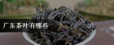 广东茶叶有哪些