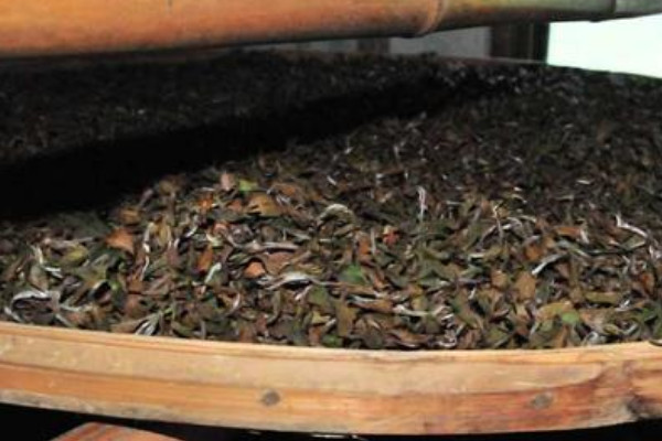 白茶的发酵程度是多少，白茶制作工艺步骤