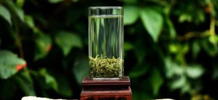 崂山绿茶的价格：崂山绿茶多少钱一斤