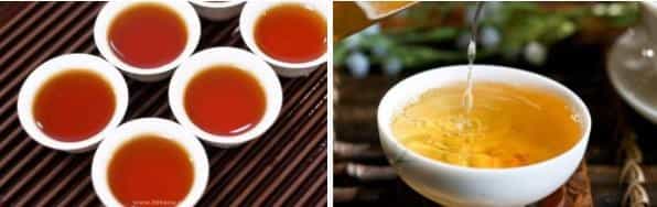 普洱生茶和熟茶的区别有哪些