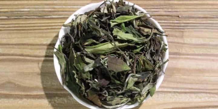 白茶的品种有哪些都有什么特征