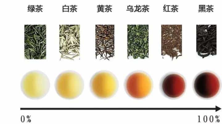 发酵茶和不发酵茶有什么区别