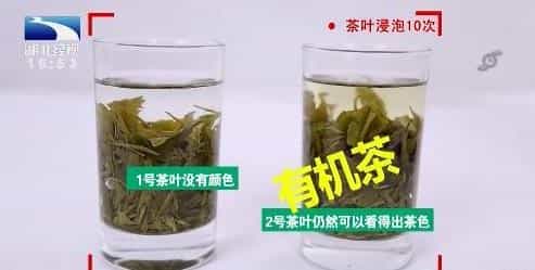 有机茶和普通茶叶的区别是什么