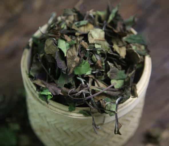 茶叶与紫砂壶，如何搭配最好