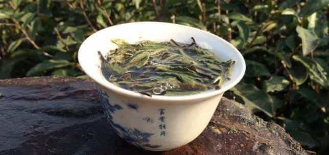 白牡丹茶叶的价格是多少钱一斤
