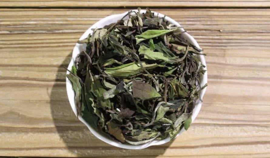 白茶的种类主分为四类