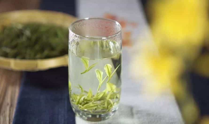 绿茶的属性和主要功效