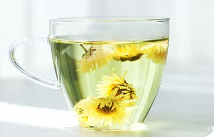 菊花茶的种类有哪些