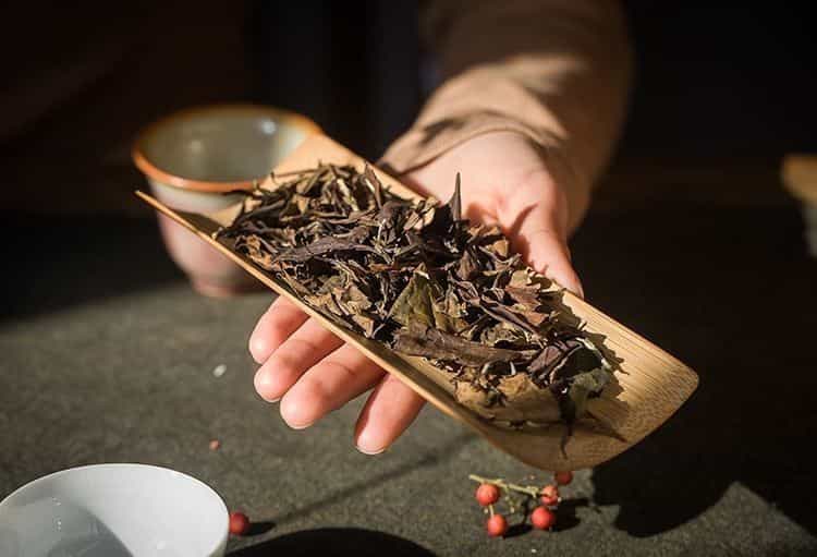 中国的六大茶类是如何区分的