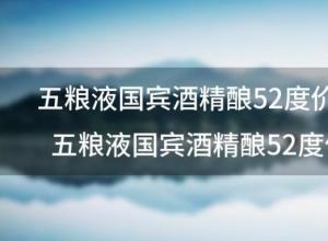 五粮液国宾酒精酿52度价格五粮液国宾酒精酿52度价格