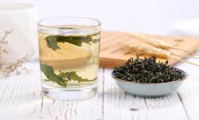 蒲公英茶的功效与作用及副作用