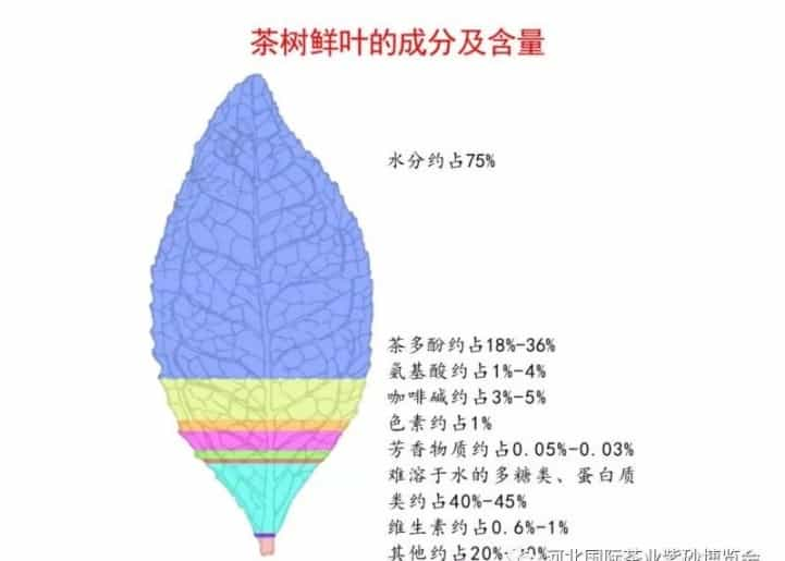 什么是六堡茶，六堡茶入门知识大全