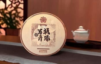 龙润普洱茶357克通版的特点与品质简介