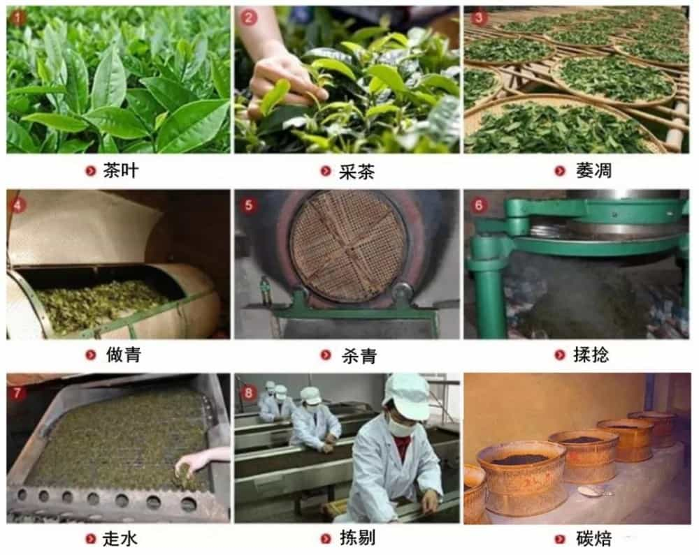 大红袍属于哪个茶类