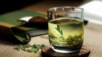 品味商南：探寻绿茶的四季之美