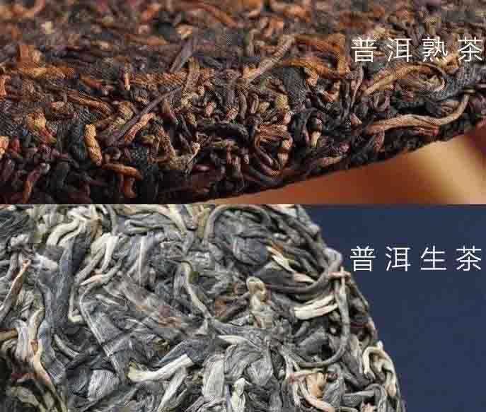 滇红茶和普洱茶的区别