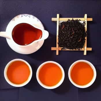 宝塔滇红茶的品种特点与制作工艺