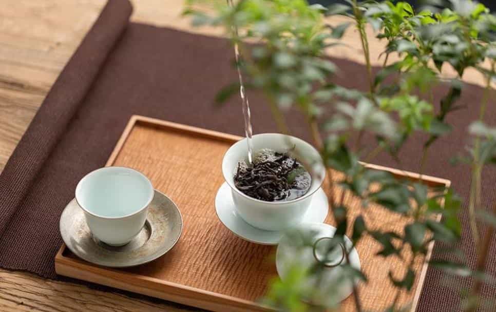 闽北乌龙茶的代表茶是什么