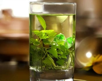 农夫山泉绿茶：清新淡雅的品质之选